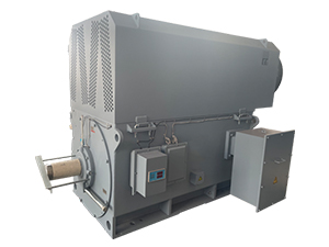 高壓永磁同步電機(jī)